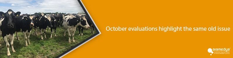 October evaluations highlight the same old issue