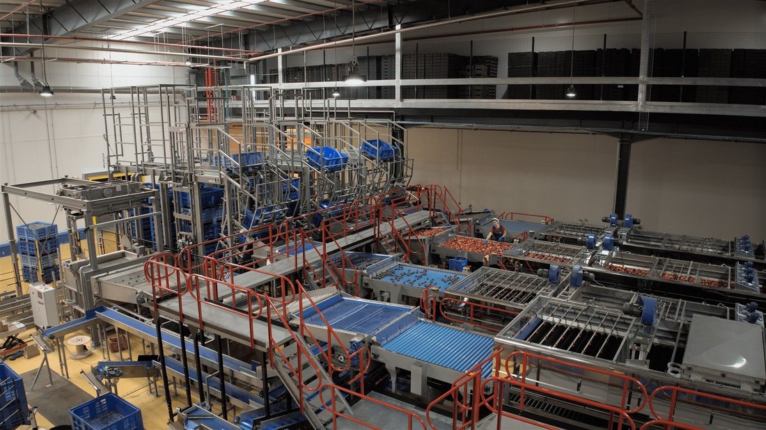 fruit processing