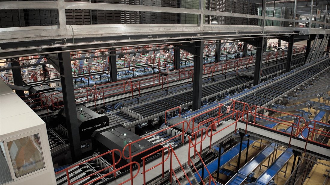 fruit processing